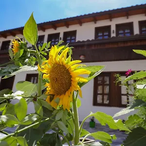 The House Of Dollma , Inside Castle Albania